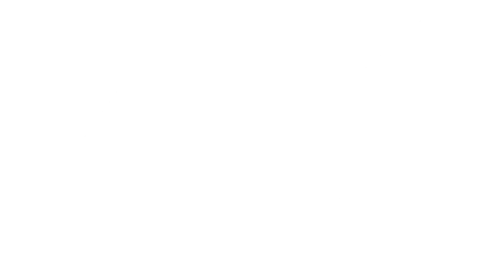 Mirai Travel