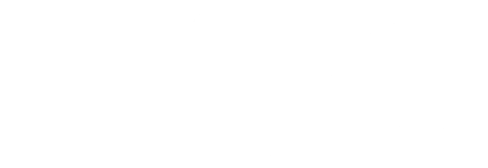 Raccoon Fantasy